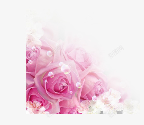 花psd免抠素材_新图网 https://ixintu.com 粉红色 粉红色的花 花