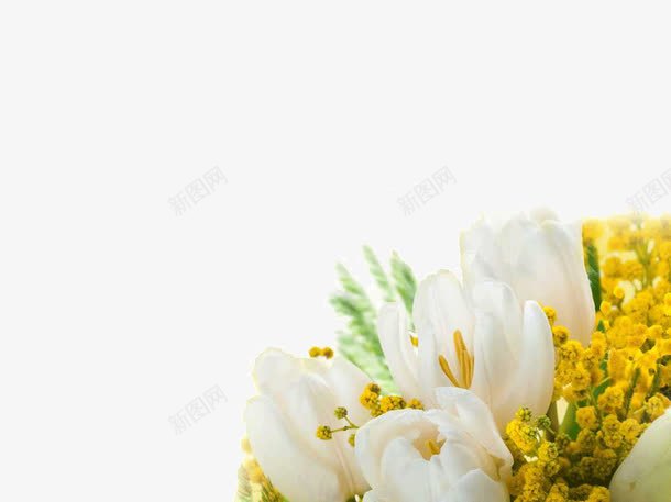 鲜花背景ppt模板png免抠素材_新图网 https://ixintu.com ppt模板 ppt背景 白色 鲜花 黄色