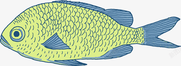 卡通海洋生物鱼文艺风海报png免抠素材_新图网 https://ixintu.com 动物可爱 卡通动物 卡通小鱼 卡通海洋动物 手绘动物文艺风 萌萌哒的小动物 装饰卡通 鱼的种类