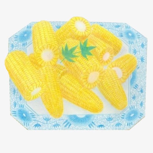 煮玉米手绘画片png免抠素材_新图网 https://ixintu.com 手绘美食 玉米 粗粮 色彩画 蓝色盘子 黄色
