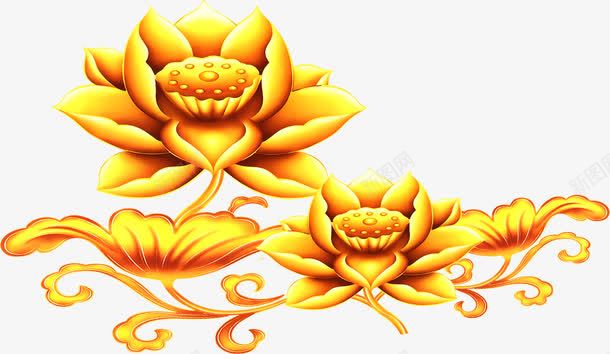 金色的花蕾png免抠素材_新图网 https://ixintu.com 背景 花蕾 金色