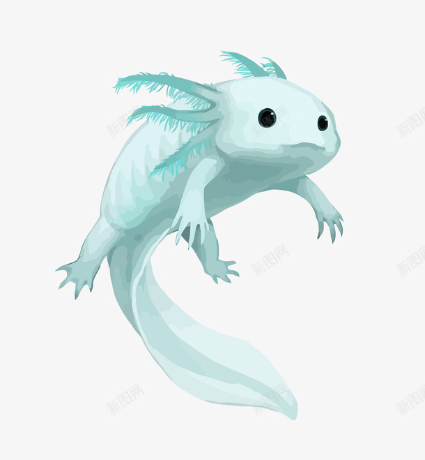 蓝色水彩蝾螈矢量图eps免抠素材_新图网 https://ixintu.com 卡通 手绘 水彩 矢量蝾螈 蓝色 蝾螈PNG矢量图 蝾螈免扣PNG图 矢量图