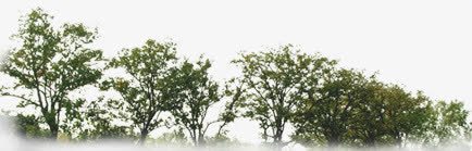 自然植被公园美景png免抠素材_新图网 https://ixintu.com 公园 植被 美景 自然