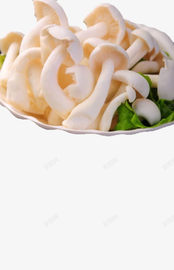 白玉菇白玉菇png免抠素材_新图网 https://ixintu.com 白玉菇 白色 菜 菜品