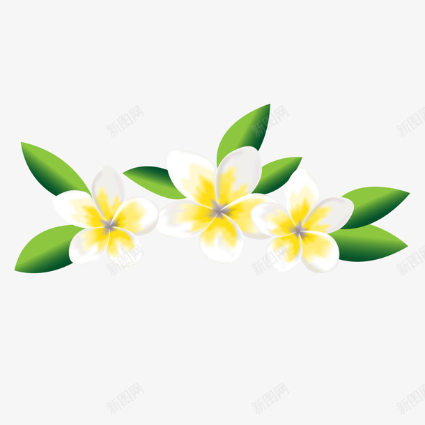 鲜花绿叶矢量图ai免抠素材_新图网 https://ixintu.com PNG图 PNG图下载 创意卡通 卡通插图 插图 白色花朵 绿叶 鲜花 矢量图