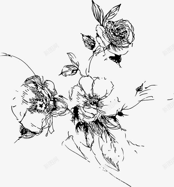 手绘黑色线条花卉png免抠素材_新图网 https://ixintu.com 线条 花卉 黑色