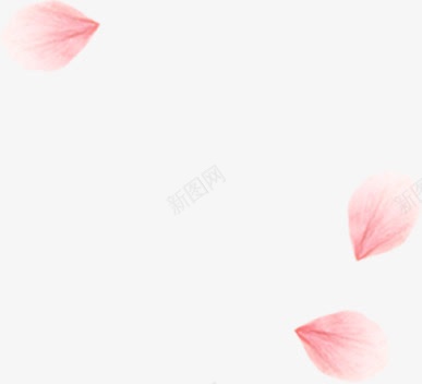 粉色渐变花瓣png免抠素材_新图网 https://ixintu.com 图片 渐变 粉色 花瓣