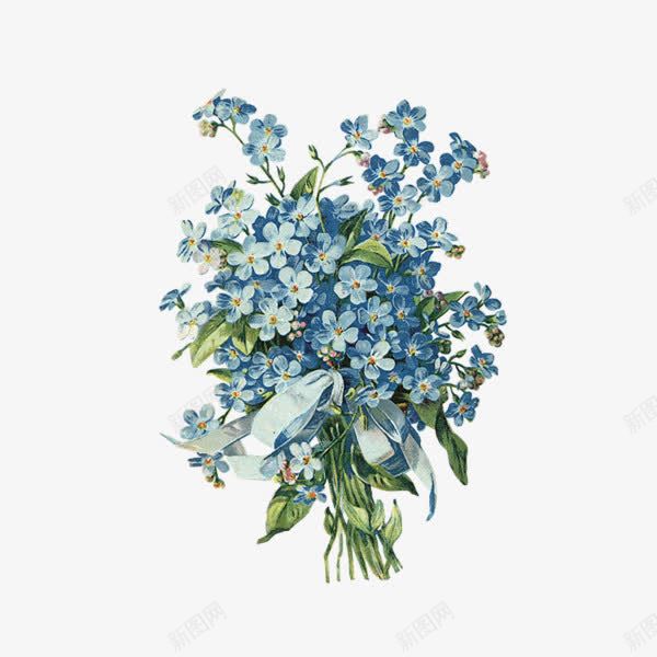 蓝色绣球花png免抠素材_新图网 https://ixintu.com 手绘 绣球花 绸带 蓝色