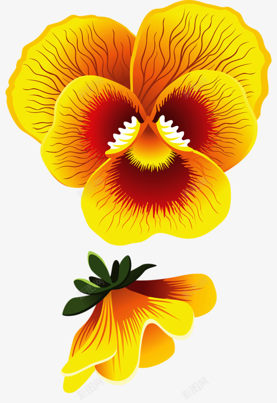 黄色木槿png免抠素材_新图网 https://ixintu.com 三色堇 卡通 手绘 花中提琴 黄色