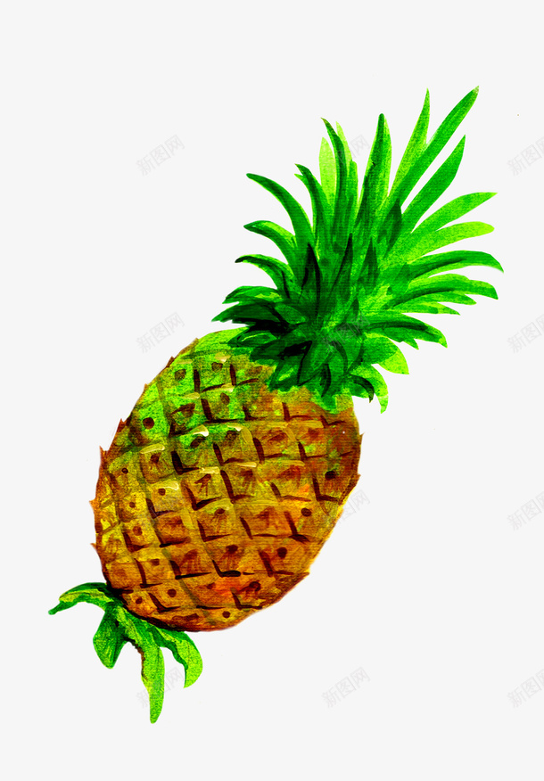 一棵菠萝png免抠素材_新图网 https://ixintu.com 一棵 卡通 手绘 水果 绿色的 菠萝 菠萝缨 黄色的