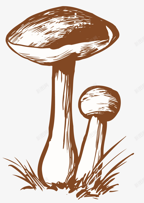 深褐色手绘风格菌类植物png免抠素材_新图网 https://ixintu.com 卡通菌类 卡通风格 手绘风格 深褐色 矢量菌类 菌类 菌类植物