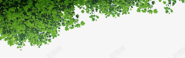 绿色春天树叶装饰清新png免抠素材_新图网 https://ixintu.com 春天 树叶 清新 绿色 装饰