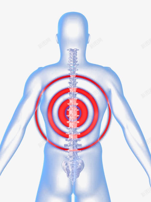 人体脊骨png免抠素材_新图网 https://ixintu.com 人体 关节 关节疼 关节病 关节痛 刺疼 剧痛 忍受 生病病痛 疼 疼痛 疾苦 痛 痛楚 痛苦 脊骨