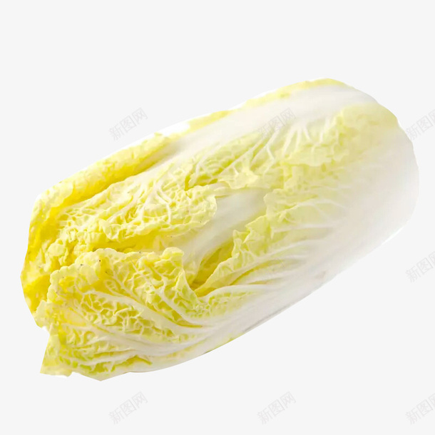 新鲜大白菜吧png免抠素材_新图网 https://ixintu.com 大白菜 新鲜 芽白 蔬菜