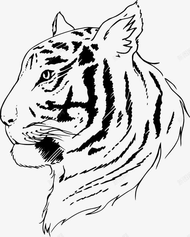 素描威猛老虎png免抠素材_新图网 https://ixintu.com 可爱老虎 呆萌老虎 威猛老虎 手绘老虎 素描老虎 黑色线条