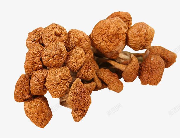珍珠菇食品png免抠素材_新图网 https://ixintu.com 个体小 干货 滑子菇 珍稀品种 黄褐色