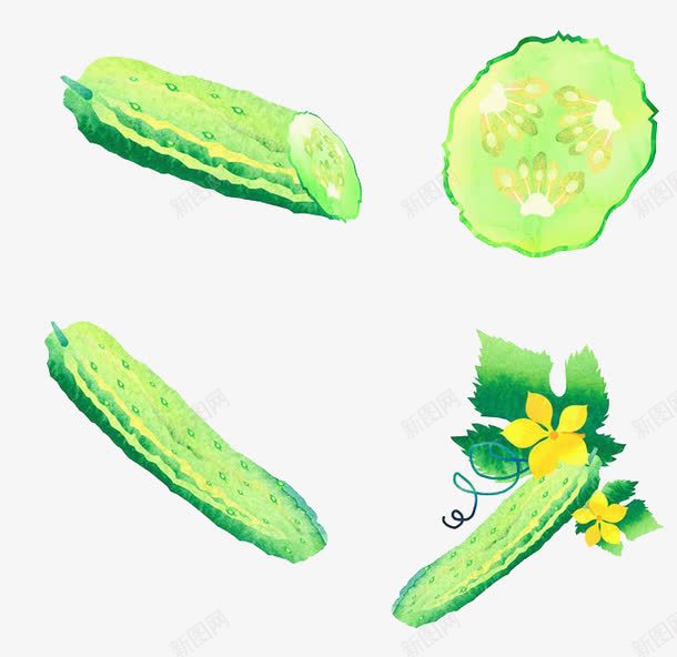 手绘苦瓜png免抠素材_新图网 https://ixintu.com 手绘 水彩 绿色 苦瓜 蔬菜 食物