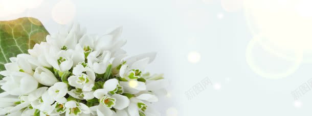 化妆品广告海报jpg设计背景_新图网 https://ixintu.com 化妆品 化妆品广告 化妆品海报 花朵