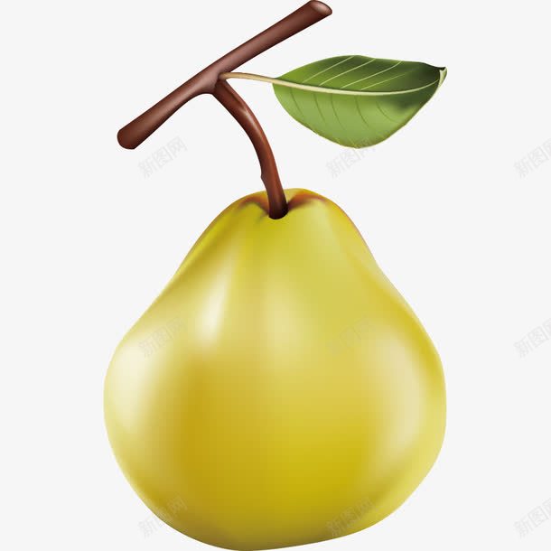 蔬菜蔬果瓜果食物水果png免抠素材_新图网 https://ixintu.com 水果 瓜果 蔬果 蔬菜 雪梨 食物