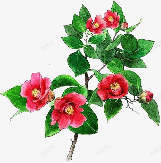 红色手绘花朵美景植物png免抠素材_新图网 https://ixintu.com 植物 红色 美景 花朵