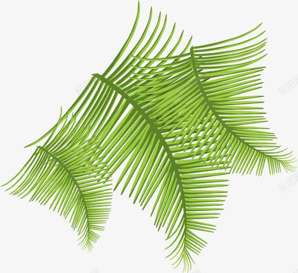 绿色清爽卡通树叶针叶png免抠素材_新图网 https://ixintu.com 卡通 树叶 清爽 绿色 针叶