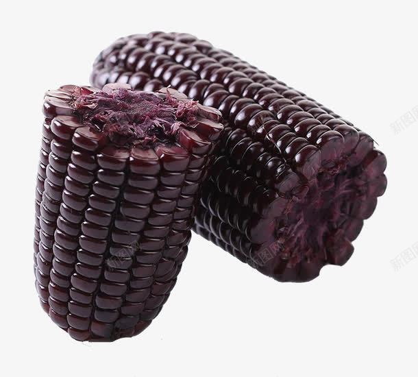 补肾粗粮玉米png免抠素材_新图网 https://ixintu.com 粗粮玉米 糯玉米 补肾食材