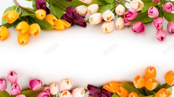 简约红粉黄色花朵jpg设计背景_新图网 https://ixintu.com 简约 红粉 花朵 黄色