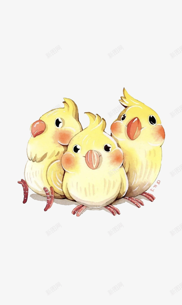 可爱的三只鹦鹉png免抠素材_新图网 https://ixintu.com 三只 三只鹦鹉 可爱 鹦鹉