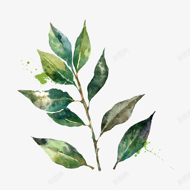 手绘水彩树叶装饰矢量图ai免抠素材_新图网 https://ixintu.com 手绘 树叶 水彩 装饰 矢量图