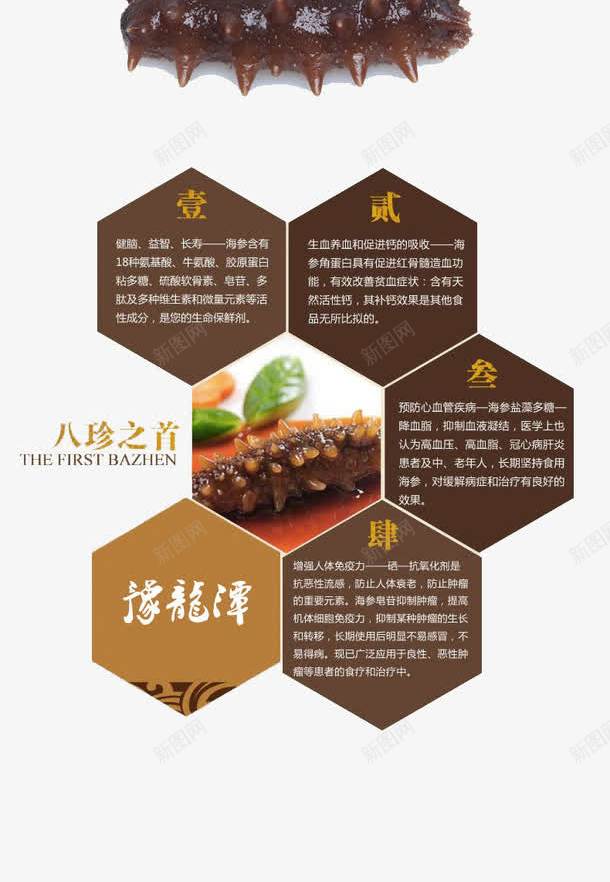 海参psd免抠素材_新图网 https://ixintu.com 养生 海参 美食 食补