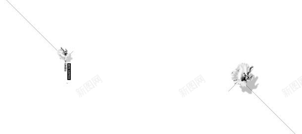 白色简约花朵海报jpg设计背景_新图网 https://ixintu.com 海报 白色 简约 花朵