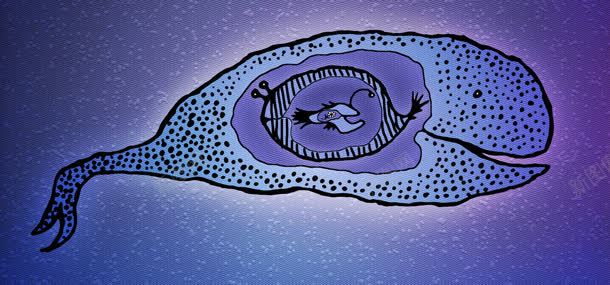 banner背景图jpg背景图_新图网 https://ixintu.com 手绘 蓝色 生物