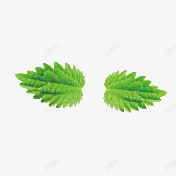 绿色植物草叶矢量图ai免抠素材_新图网 https://ixintu.com 叶子 手绘 树叶 环保 绿叶 装饰 矢量图