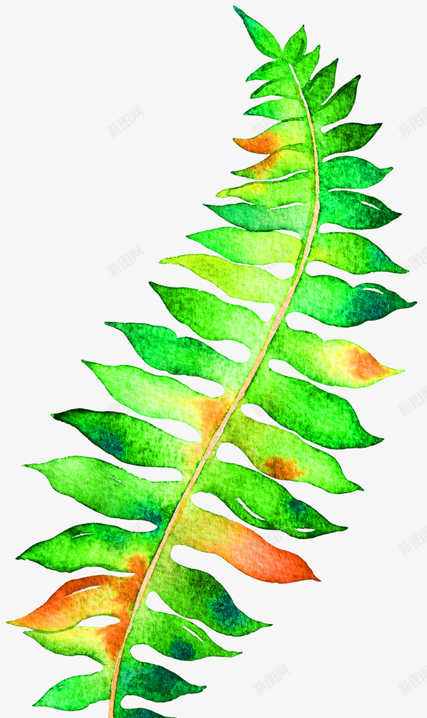 装饰叶子插画png免抠素材_新图网 https://ixintu.com 小清新 小清新水彩叶子 手绘水彩叶子 树叶 水彩 水彩树叶 高清