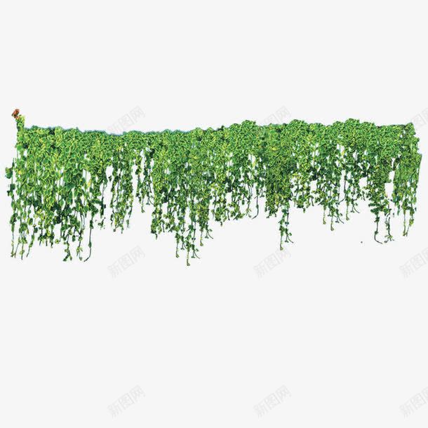 绿色植物png免抠素材_新图网 https://ixintu.com 缁垮寲瑁呴 缁胯壊妞嶇墿 鍥 鏍戞湪 鑺变笡 鑺辫崏