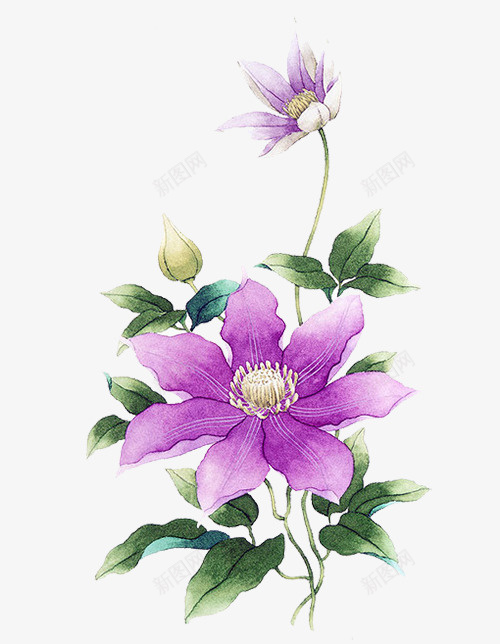 紫色小花psd免抠素材_新图网 https://ixintu.com 小花 植物 紫色 装饰素材