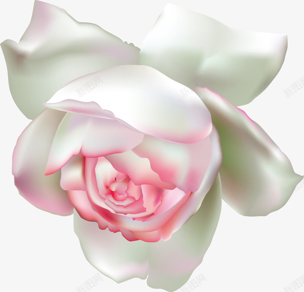 手绘白色花朵png免抠素材_新图网 https://ixintu.com 唯美 小清新 手绘 渐变 白色 花朵 花瓣 质感