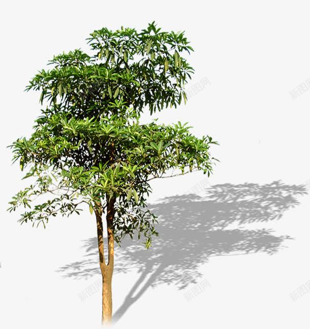 别墅美景效果树影png免抠素材_新图网 https://ixintu.com 别墅 效果 树叶影子 树叶阴影 树影 美景