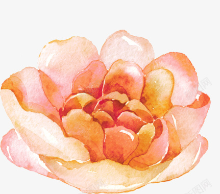 粉色手绘的玫瑰花图标图标