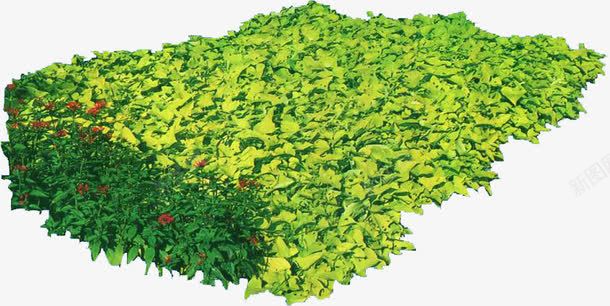 绿色植物公园景观装饰png免抠素材_新图网 https://ixintu.com 公园 景观 绿色植物 装饰