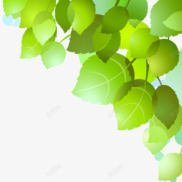 卡通清新精美树叶矢量图ai免抠素材_新图网 https://ixintu.com 卡通 树叶 清新 精美 矢量图