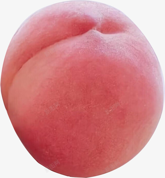 红润可口的水蜜桃png免抠素材_新图网 https://ixintu.com 桃子 红润 蜜桃 诱人