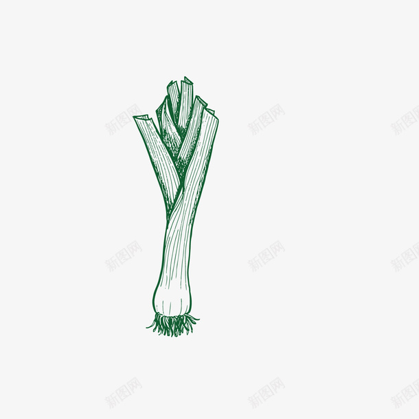 手绘大葱素描矢量图ai免抠素材_新图网 https://ixintu.com 一捆 根茎类蔬菜 根茎类蔬菜蔬菜设计 植物 植物设计 矢量图 素描设计 蔬菜 食物