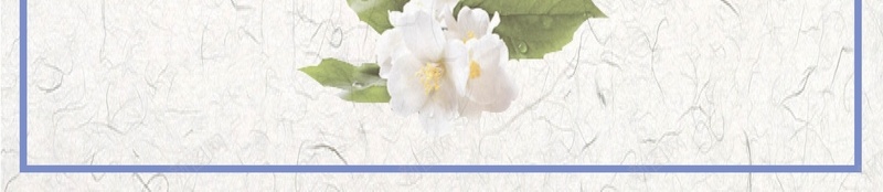 时尚创意白切鸡美食海报背景矢量图ai设计背景_新图网 https://ixintu.com 凉拌鸡 凉拌鸡广告 凉拌鸡海报 湛江白切鸡 白切鸡 白切鸡展板 白斩鸡 白斩鸡海报 香辣鸡 矢量图