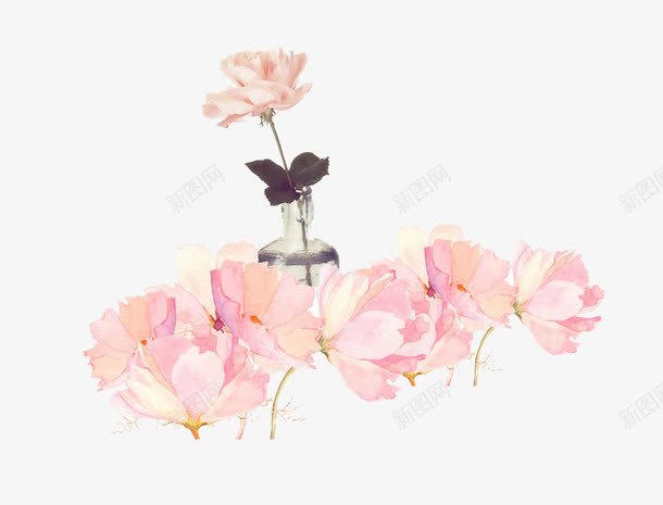 手绘月季花图案png免抠素材_新图网 https://ixintu.com PNG 小花 手绘 月季 玻璃瓶 瓶子 花图案