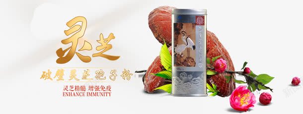 鑫灵芝孢子粉胶囊bannerpng免抠素材_新图网 https://ixintu.com banner psd 保健品 淘宝banner 灵芝 灵芝破壁孢子粉 鑫灵芝孢子粉胶囊banner免费下载 黑色