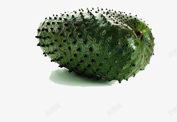 刺果番荔枝西洋梨png免抠素材_新图网 https://ixintu.com 刺果 梨子 番果 荔枝 西洋梨