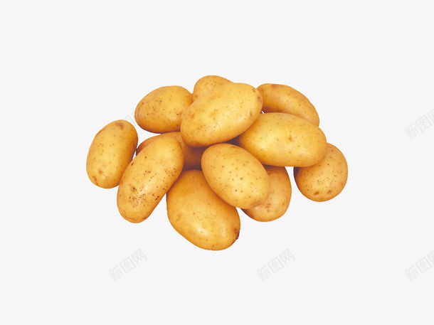 营养美味的土豆png免抠素材_新图网 https://ixintu.com 土豆 植物 美食 菜