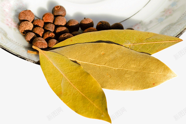 中药茱萸叶子png免抠素材_新图网 https://ixintu.com 中药 叶子 盘子 茱萸 茱萸籽 调理