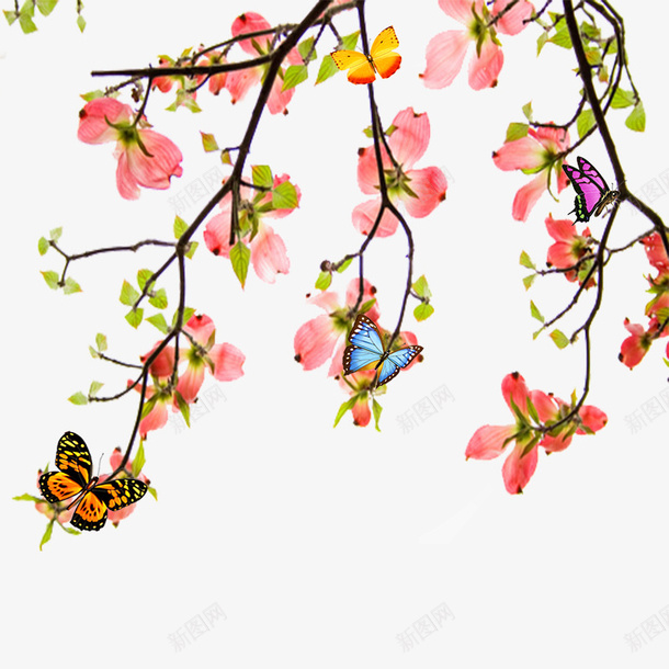 浪漫蝴蝶花间飞舞png免抠素材_新图网 https://ixintu.com PNG 粉嫩 花朵 蝴蝶 蝴蝶飞舞